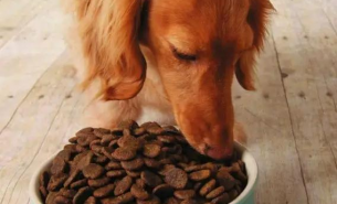 狗糧配重機_目標配重機_配重機_貓糧配重機_配重機廠家